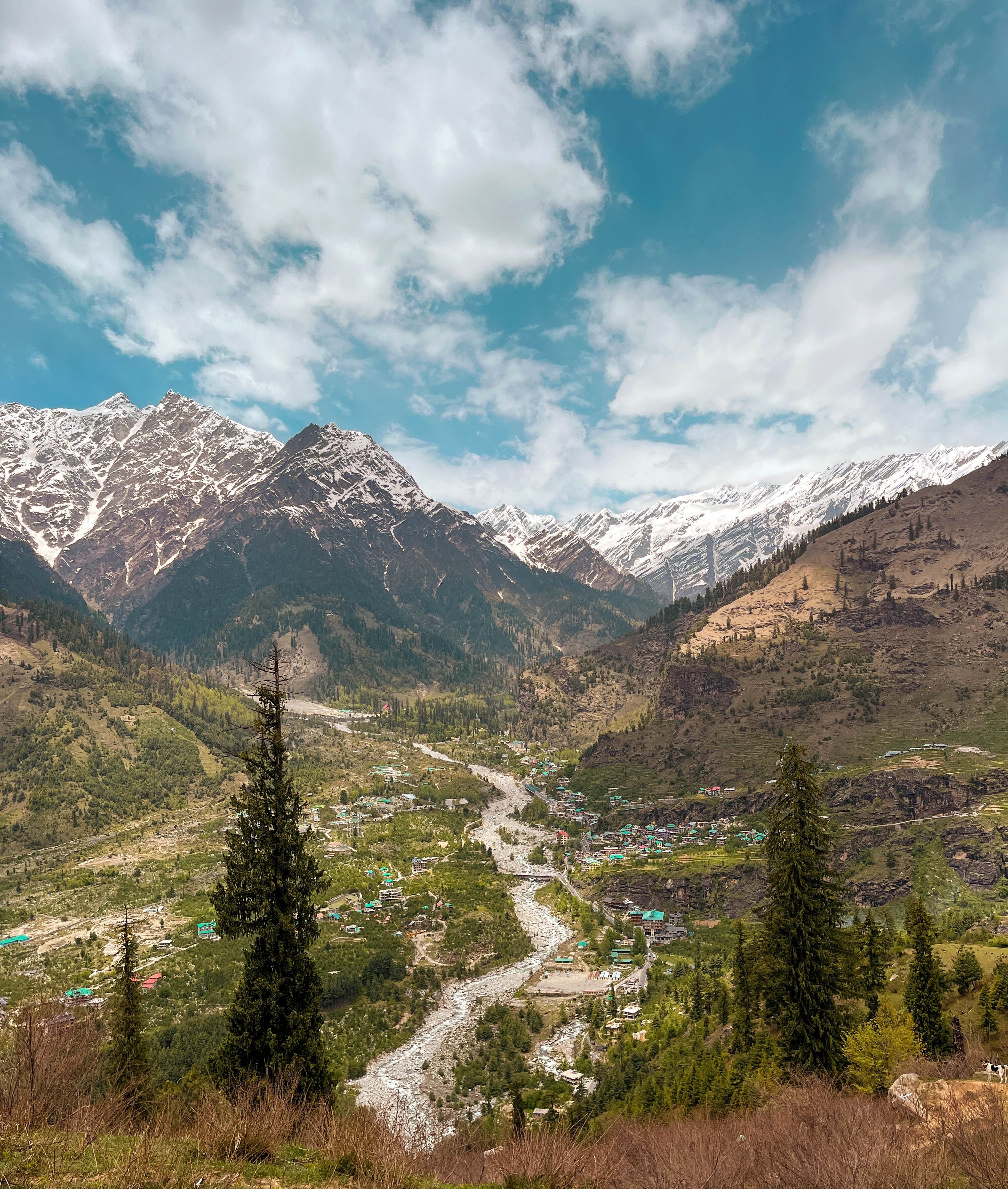 Manali