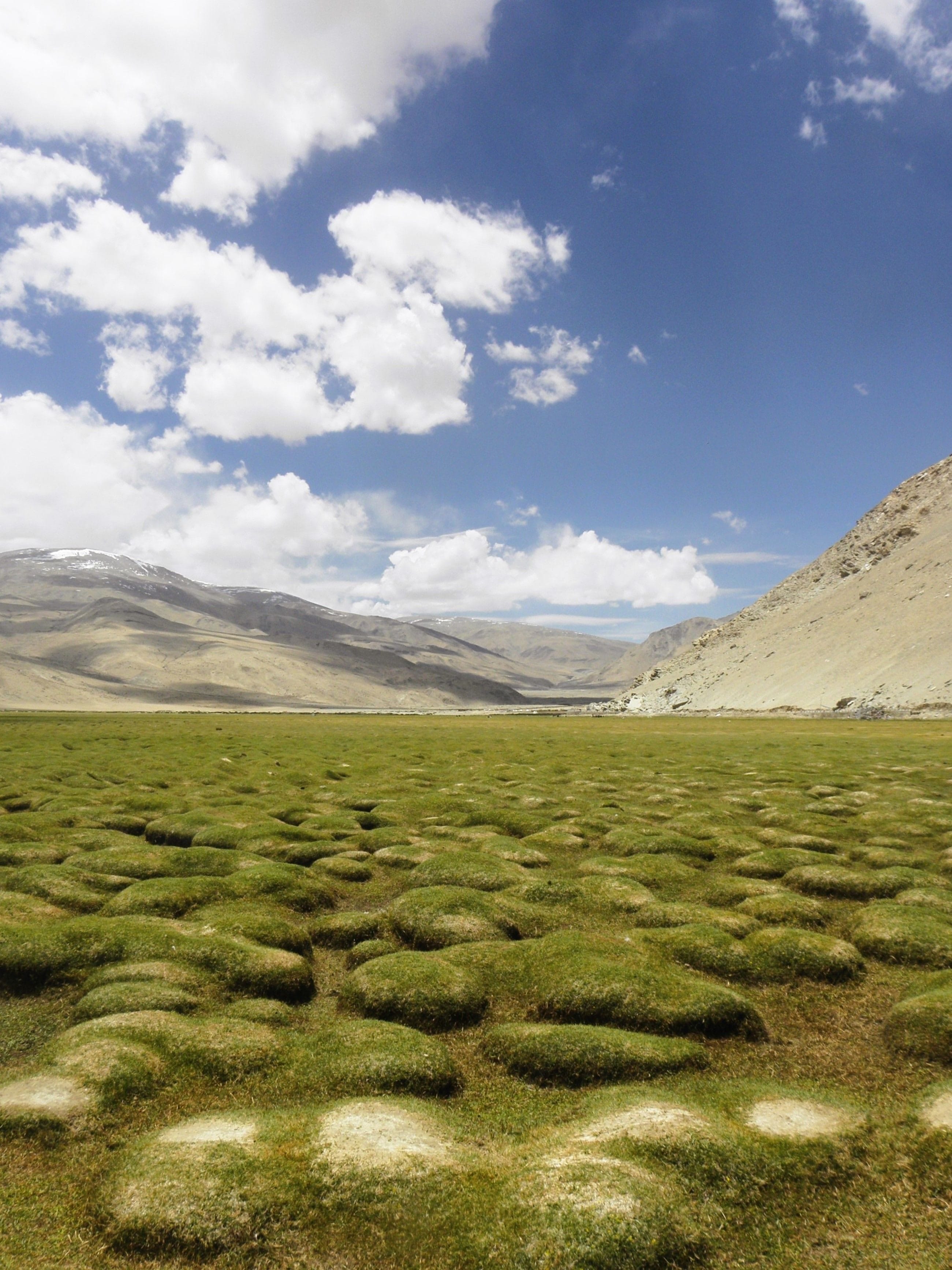 Puga Valley